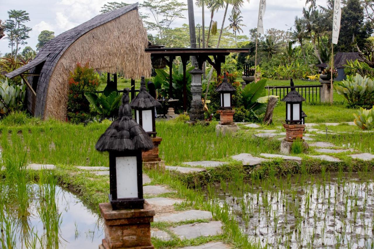 Anumana Village Ubud 외부 사진