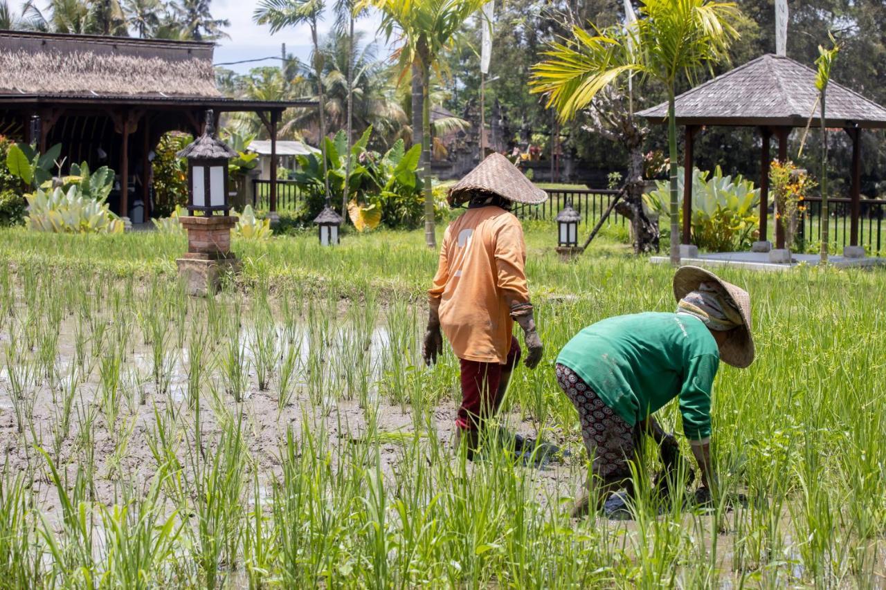 Anumana Village Ubud 외부 사진