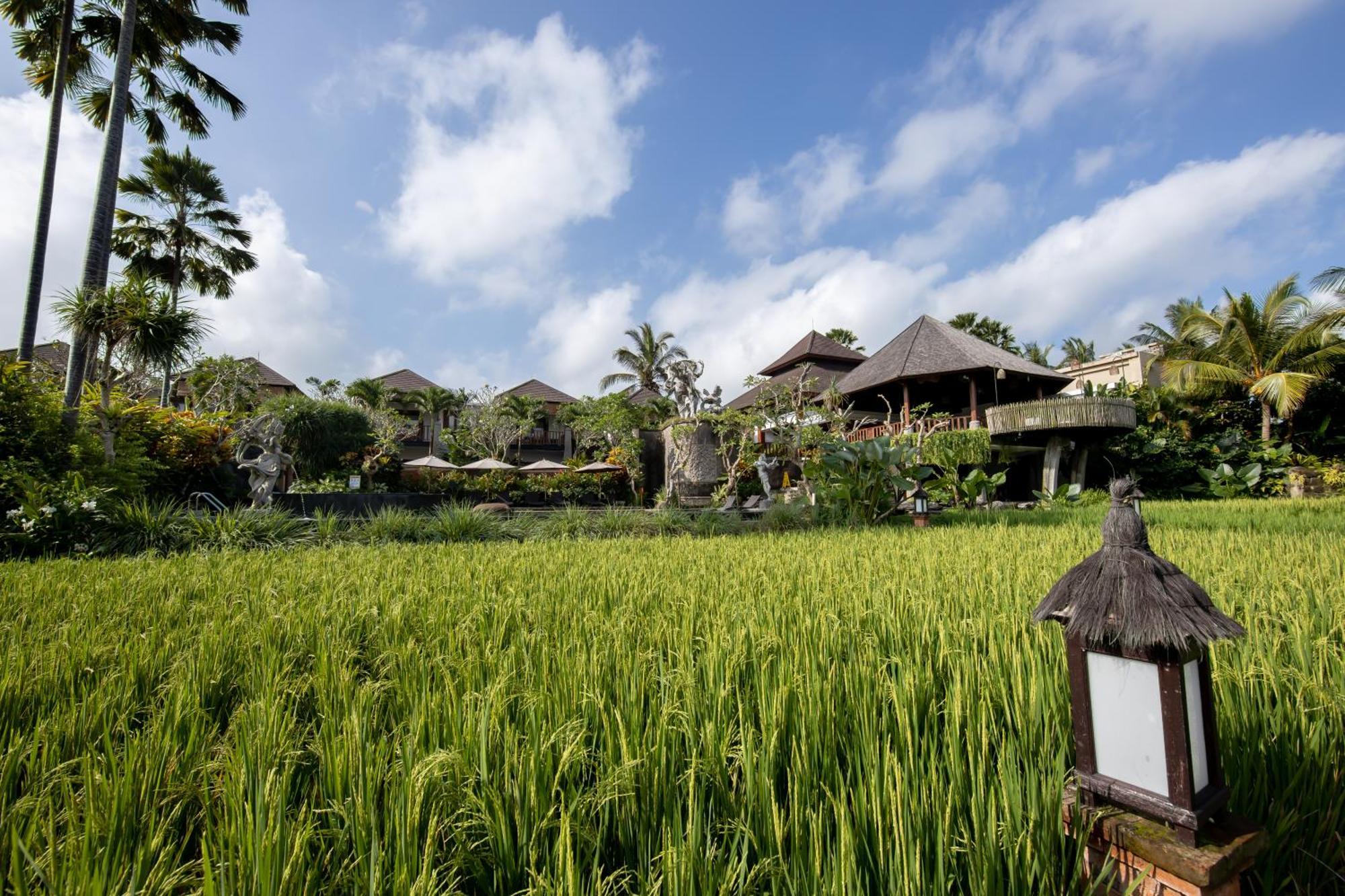 Anumana Village Ubud 외부 사진